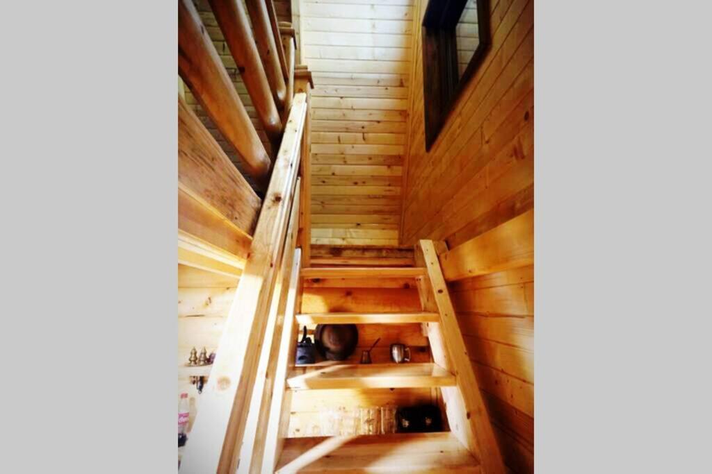 Pinecone Villa Žabljak Екстериор снимка
