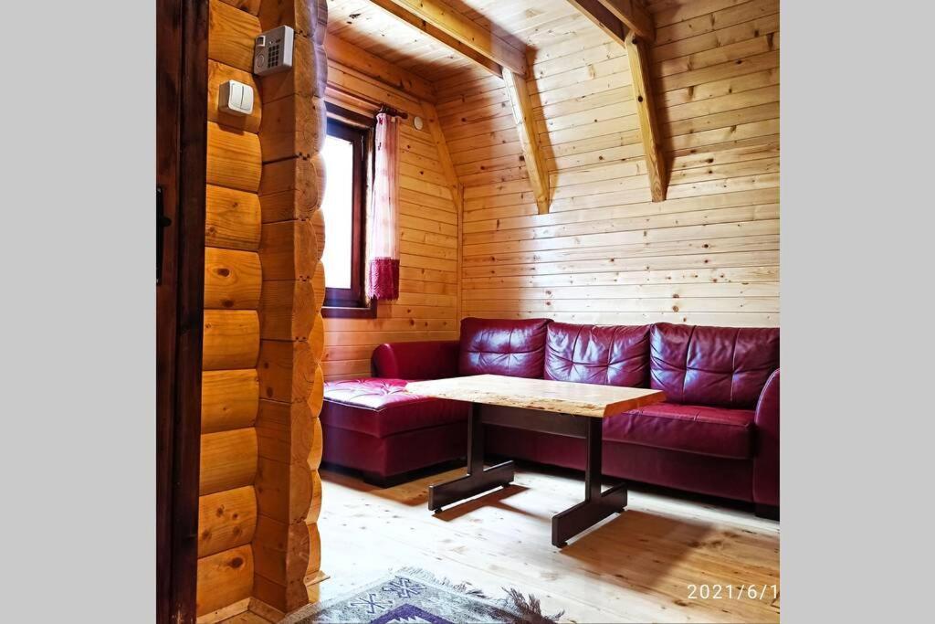 Pinecone Villa Žabljak Екстериор снимка