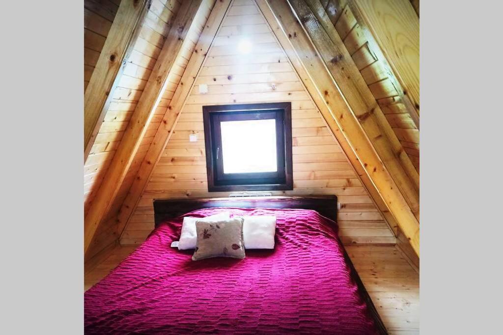 Pinecone Villa Žabljak Екстериор снимка