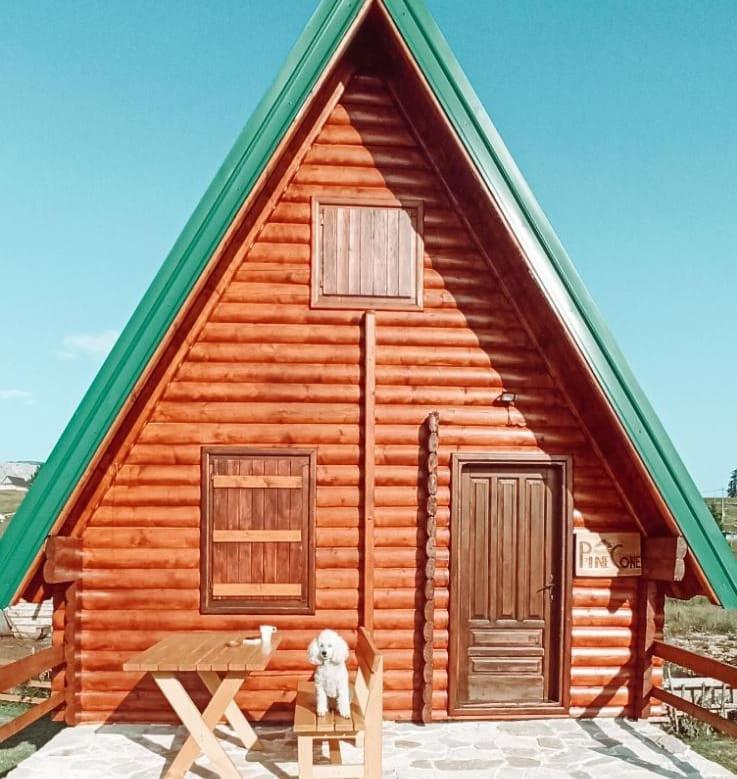 Pinecone Villa Žabljak Екстериор снимка